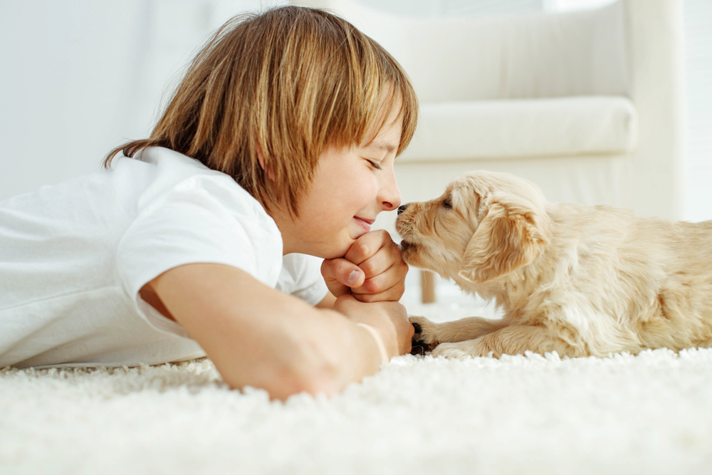 モデル業界。保険って必要？