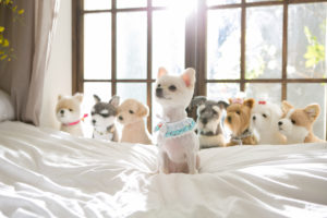 【当日は○○に注意！】オーディションで注意する６つのこと