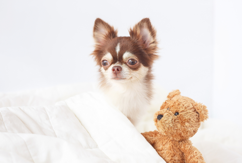 【お肌のケアは大丈夫？】肌荒れとその原因について