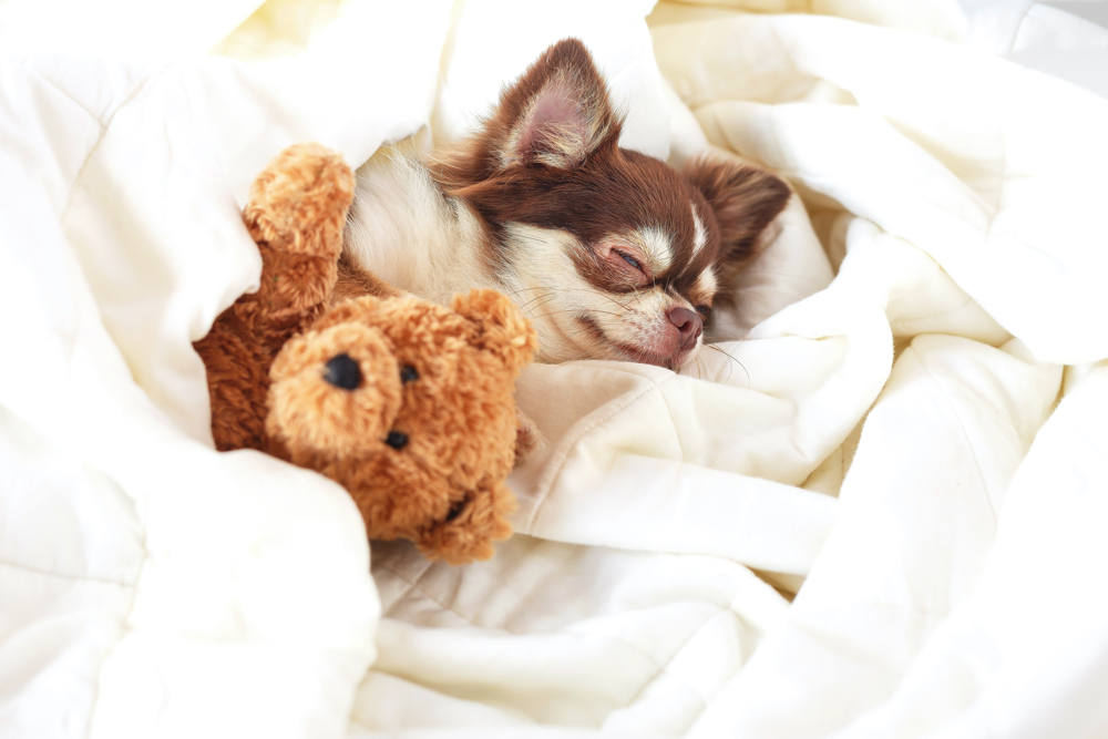 亡くなってしまったときのリスクと備えとは?